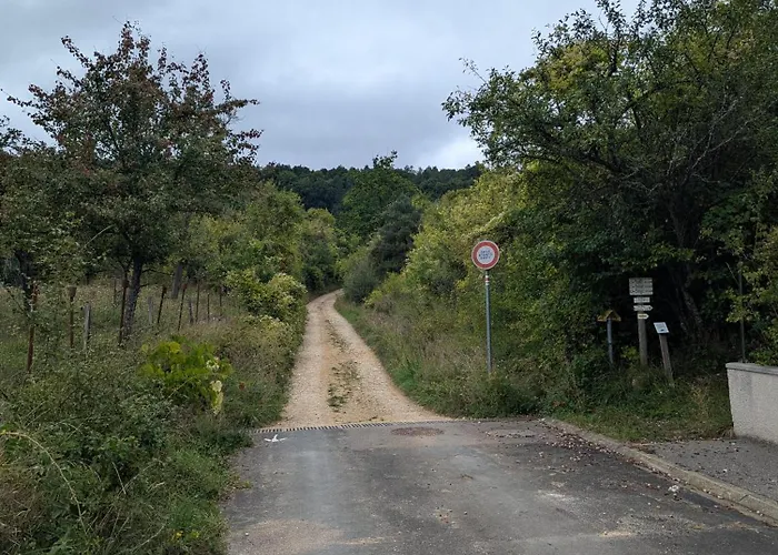 La Du Druide Karvalan Kemp Pagny-Sur-Moselle